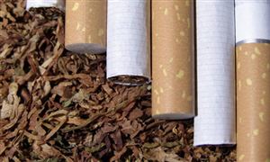 煙草概念股午后快速拉升 2021中國“云煙系”“湘煙系”“滬煙系”競爭格局加大