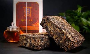 獲海關(guān)出口商品單獨列目 未來黑茶產(chǎn)業(yè)發(fā)展趨勢怎么樣