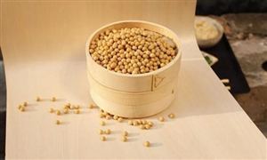 豆粕現貨成交清淡 2021年2月豆粕成交量刷新一周最低水平