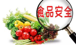 食品安全市場分析調研 2021食品安全行業(yè)發(fā)展現(xiàn)狀與前景分析