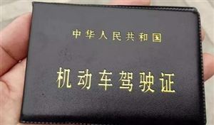 中法駕駛證互認換領協(xié)議正式生效 新辦駕校行業(yè)發(fā)展現(xiàn)狀分析