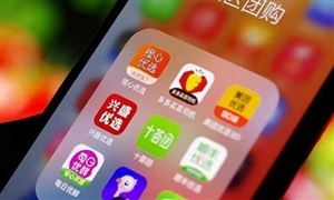 社區(qū)團(tuán)購市場調(diào)研 2021年社區(qū)團(tuán)購行業(yè)現(xiàn)狀及前景分析