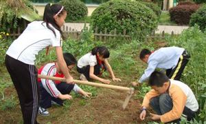 教育部:注重全面提升學(xué)生勞動(dòng)素養(yǎng) 獨(dú)立開(kāi)設(shè)勞動(dòng)教育必修課