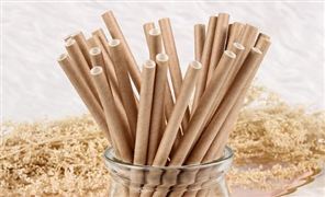 紙吸管行業(yè)現(xiàn)狀調(diào)研及未來展望