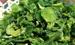 2021脫水蔬菜行業(yè)調(diào)研報(bào)告及脫水蔬菜市場(chǎng)行情