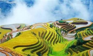 進一步激發(fā)旅游市場活力 廣西旅游行業(yè)發(fā)展現(xiàn)狀分析