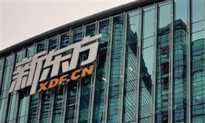 新東方或裁4千教師 新東方在線(xiàn)股價(jià)暴跌 人力資源行業(yè)發(fā)展現(xiàn)狀及潛力調(diào)研分析
