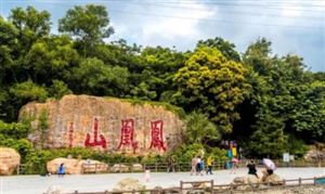 深圳八景是哪八景？深圳市濱海旅游行業(yè)發(fā)展前景及項目投資規(guī)劃研究