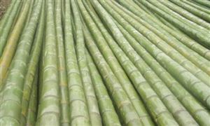 2021竹業(yè)行業(yè)發(fā)展現(xiàn)狀及前景分析