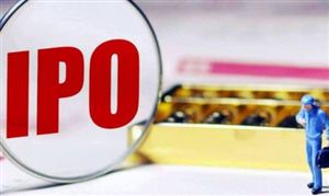 企業(yè)IPO被否的原因有哪些？企業(yè)IPO上市輔導(dǎo)并購整合深度調(diào)研分析