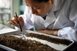 上海研發(fā)經費支出比例將達到4.5% 中國科研領域發(fā)展經費投入及政策