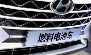 中國燃料電池車行業(yè)現(xiàn)狀及發(fā)展前景分析