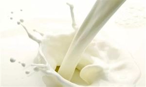 鮮牛奶和純牛奶有啥區(qū)別？純牛奶市場(chǎng)消費(fèi)需求及投資調(diào)研