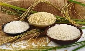 我國糧食流通環(huán)節(jié)年損耗700億斤 糧食行業(yè)發(fā)展現(xiàn)狀與前景分析