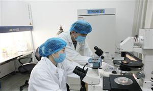 質(zhì)量檢測(cè)市場(chǎng)規(guī)模如何? 質(zhì)量檢驗(yàn)檢測(cè)行業(yè)發(fā)展全景分析