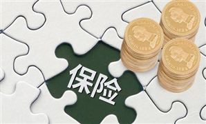 2021壽險行業(yè)發(fā)展現(xiàn)狀及前景分析