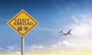 2021留學(xué)服務(wù)市場(chǎng)規(guī)模及行業(yè)發(fā)展前景分析