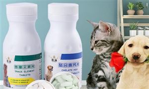 寵物營養(yǎng)品行業(yè)會迎來新一輪爆發(fā) 寵物營養(yǎng)品現(xiàn)狀分析