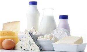 乳品添加劑行業(yè)發(fā)展現(xiàn)狀及市場前瞻