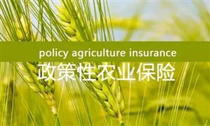 超三百億元農(nóng)業(yè)保險保費補貼全部下達(dá) 農(nóng)業(yè)保險未來需求調(diào)研