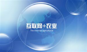 全面打造農(nóng)業(yè)全產(chǎn)業(yè)鏈 2022中國互聯(lián)網(wǎng)+農(nóng)業(yè)行業(yè)發(fā)展前景展望調(diào)研分析
