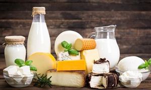乳制品行業(yè)市場(chǎng)發(fā)展現(xiàn)狀 乳制品行業(yè)市場(chǎng)發(fā)展前景分析