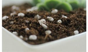 花肥的利潤空間大嗎 2022花肥市場容量及調(diào)研分析報(bào)告