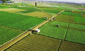 2022新型農業(yè)行業(yè)市場現(xiàn)狀及發(fā)展前景分析