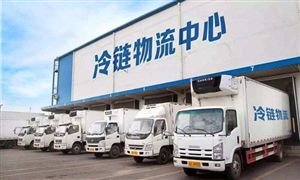冷鏈物流市場調研 2022冷鏈物流行業(yè)發(fā)展前景及趨勢分析