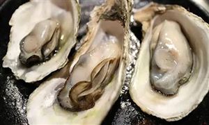 2022年生蠔行業(yè)發(fā)展現(xiàn)狀及市場(chǎng)行情分析