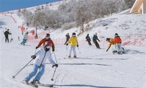 預(yù)計(jì)到2025年我國(guó)冰雪旅游人數(shù)將超5億人次 冰雪旅游供給分析