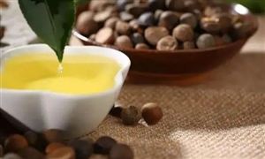2022年山茶油行業(yè)現狀及發(fā)展前景分析