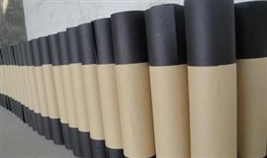 防水建材發(fā)展趨勢 集中度向龍頭集聚是大勢所趨