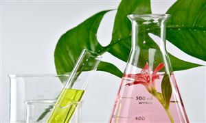 2022年植物提取物行業(yè)市場(chǎng)規(guī)模及發(fā)展前景分析