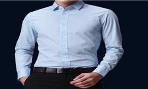 男士襯衫市場(chǎng)調(diào)研 2022男士襯衫行業(yè)環(huán)境趨勢(shì)及需求分析