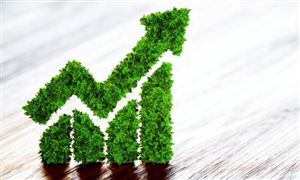 2022年綠色金融行業(yè)分析報告 綠色金融債規(guī)模因何大增