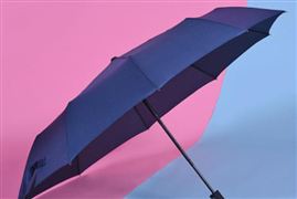 自動雨傘行業(yè)市場份額及未來發(fā)展趨勢預(yù)測