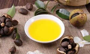 中國(guó)山茶油產(chǎn)業(yè)發(fā)展前景及投資規(guī)劃分析