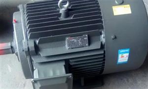 2022年高效節(jié)能電機行業(yè)現(xiàn)狀及發(fā)展前景分析