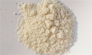 2022年復(fù)合氨基酸行業(yè)發(fā)展前景及市場規(guī)模分析