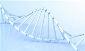 2022生物科技市場調(diào)研及行業(yè)趨勢分析