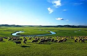 2022獸藥產(chǎn)品發(fā)展的主要方向及市場(chǎng)銷售空間