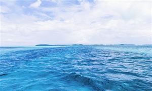 海洋油氣開(kāi)發(fā)行業(yè)發(fā)展現(xiàn)狀及前景趨勢(shì)分析2022
