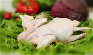 雞肉市場調(diào)研 2022年雞肉行業(yè)發(fā)展前景及需求分析