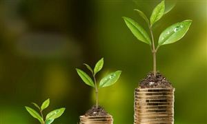 公募規(guī)?；痉€(wěn)定 基金經(jīng)理調(diào)倉(cāng)進(jìn)退有度 公募基金行業(yè)發(fā)展政策