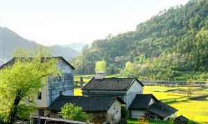 人口老齡化已成為全球普遍現(xiàn)象 農(nóng)村養(yǎng)老保險行業(yè)市場分析