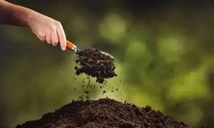 2022年生物菌肥行業(yè)發(fā)展趨勢及市場前景分析