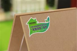 2022中國無醛膠行業(yè)競爭趨勢及投資風(fēng)險(xiǎn)研究