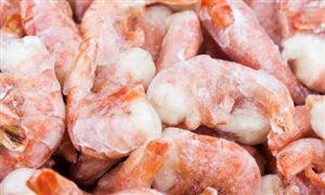 冷凍食品市場(chǎng)調(diào)研報(bào)告 冷凍食品行業(yè)發(fā)展前景