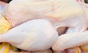 雞肉價(jià)格有望持續(xù)走強(qiáng) 雞肉價(jià)格上漲對(duì)飼料有何影響